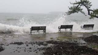 Nahant Wharf Area - Near High Tide 1/13/2024