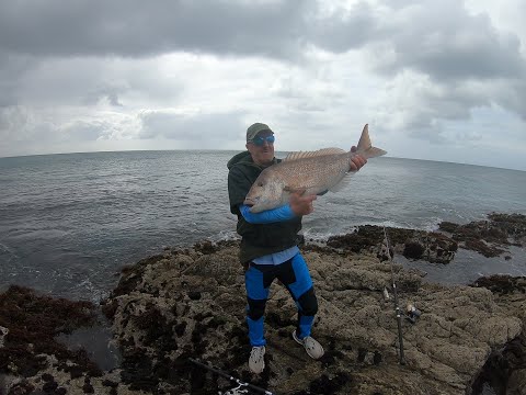 PART TWO A HUNT FOR THE DREAM SNAPPER