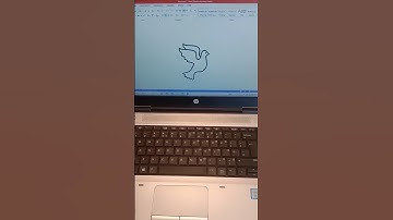 Shortcut Key In MS Word For Bird | English Tutorial Shorts | ODI Tech