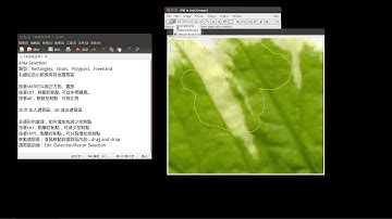 20 imagej的區域選取工具Area Selection