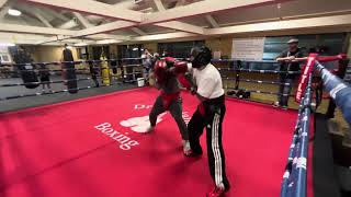 Dreamland boxing #sparring #boxing 