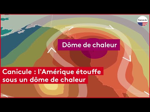 Canicule : l'Amérique