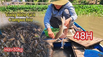 48H - Giăng Câu Cá Lăng Giáp Vùng Biên Giới Campuchia
