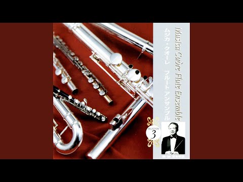 Παρακολούθηση ソナタ第３番 ハ長調 モデラート στο YouTube