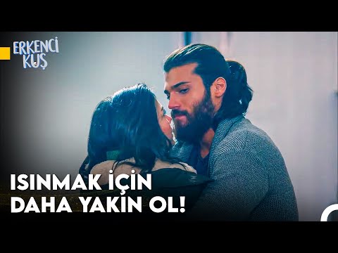 Sanem'in Aşkı Bulma Yolculuğu #110 - Erkenci Kuş