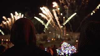 Keep your cat calm and safe during fireworks season 🐱🎆 by Cats Protection 581 views 5 months ago 1 minute, 55 seconds