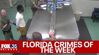 Florida Crimes of the Week: Police K-9 finds child who wandered into woods