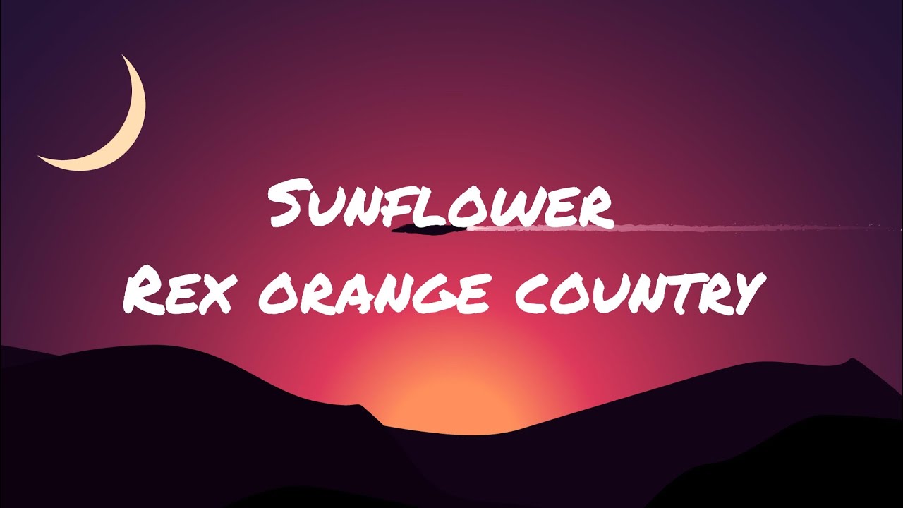 Rex orange country sunflower (lyrics) YouTube