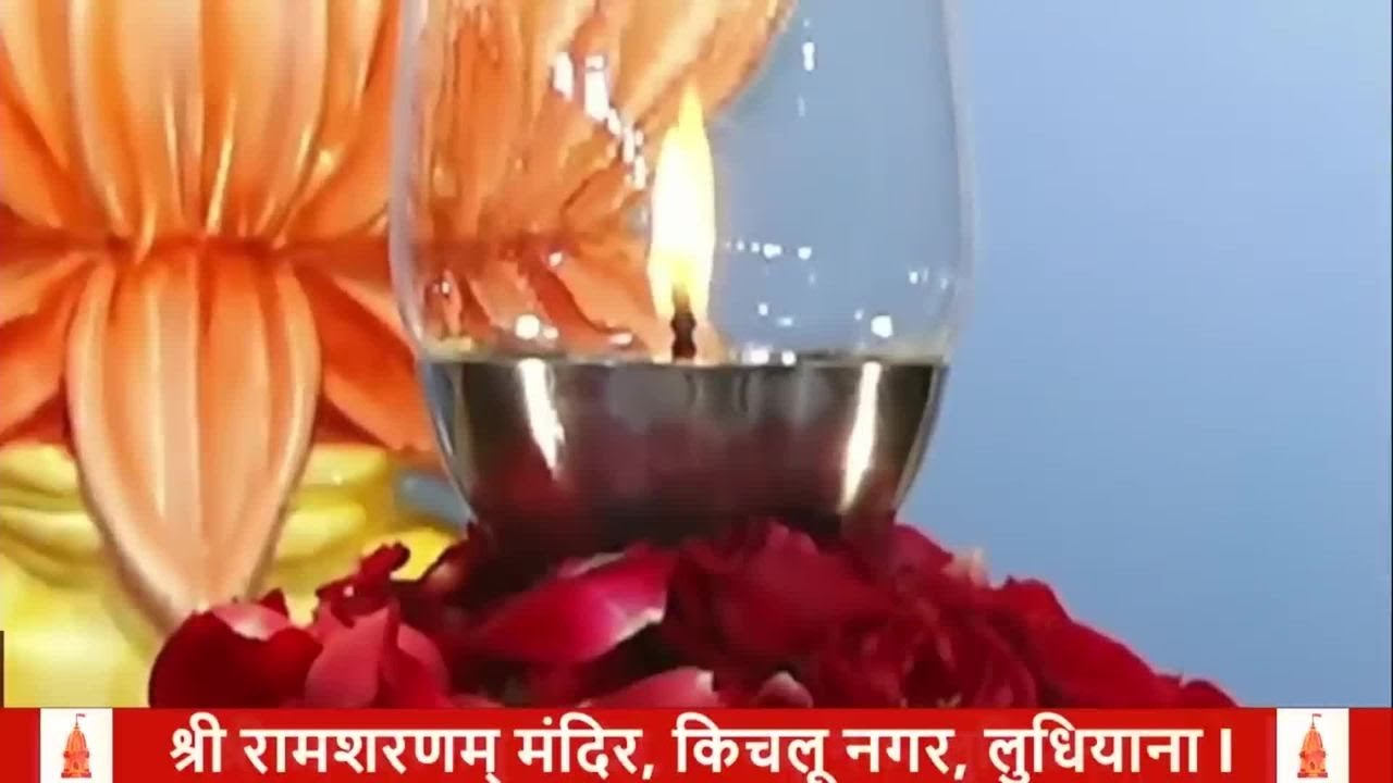 अमृतवाणी सत्संग 24-02-2026 श्री राम शरणम् , किचलू नगर, लुधियाना l