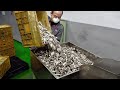 Processus de production de masse de piles aa la plus grande usine de batteries sches de core