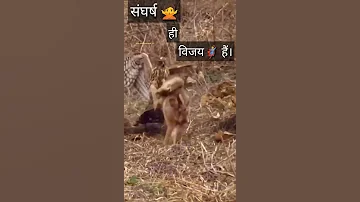 संघर्ष ही विजय 🙏🙏🙏