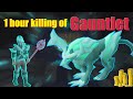 OSRS - 1 Hour Killing of Gauntlet - OSRS The Gauntlet 7 Kill Per Hour