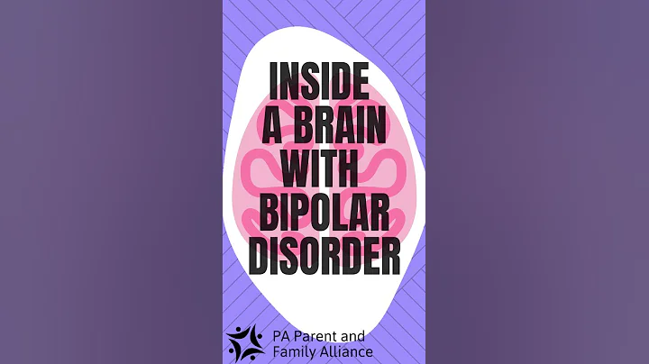 Inside a Brain with Bipolar Disorder
