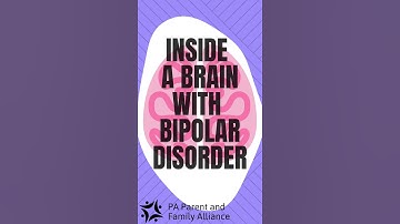 Inside a Brain with Bipolar Disorder