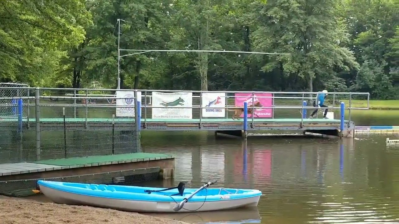 20200816 dock diving YouTube