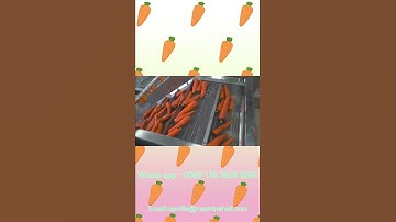 Carrot Vegetable Washing and Drying Machine For Sale