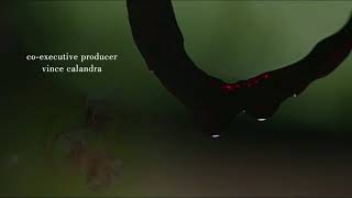 Celebrity Sharp Objects Episode 2 Intro Wealth