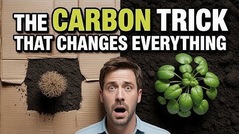 I Tried Biochar and Cardboard for 6 Months… And Learned This Shocking Truth About Soil