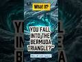 What If You Fall Into the Bermuda Triangle? What will really happen?