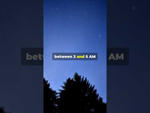 First Meteor Shower