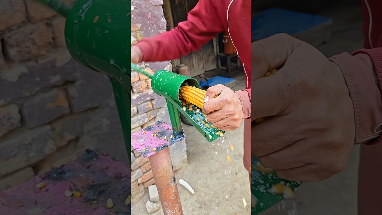 Fast & Easy Corn Shelling with This Gadget Strip 🔥 