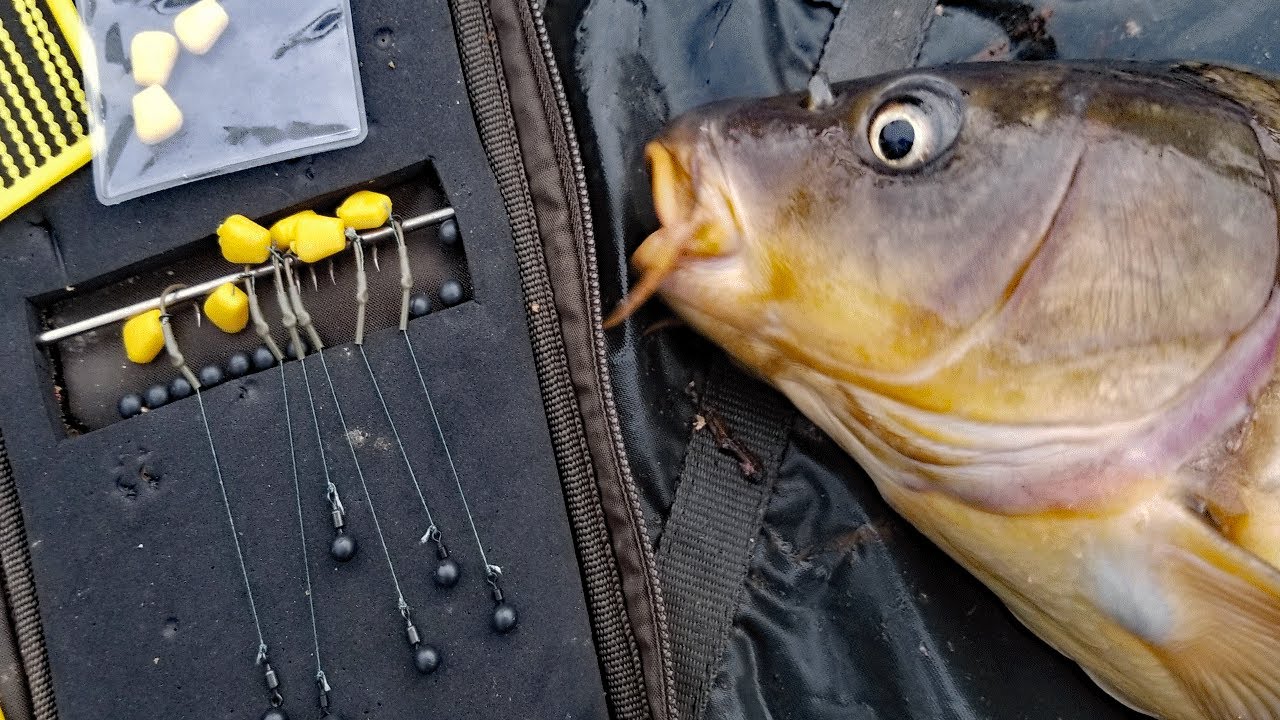 My favorite carp rig! How to tie a hair rig and method lead. Best Carp  fishing rig 