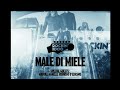 Capture de la vidéo Male Di Miele - Manuel Agnelli Ft. Rodrigo D'erasmo | Rockin'1000 At Linate Airport
