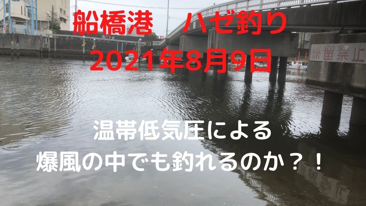 船橋港 ハゼ釣り 温帯低気圧による爆風の中でも釣れるのか 21年8月9日 Youtube