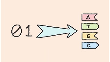 Simply Synbio: How is data encoded in DNA?