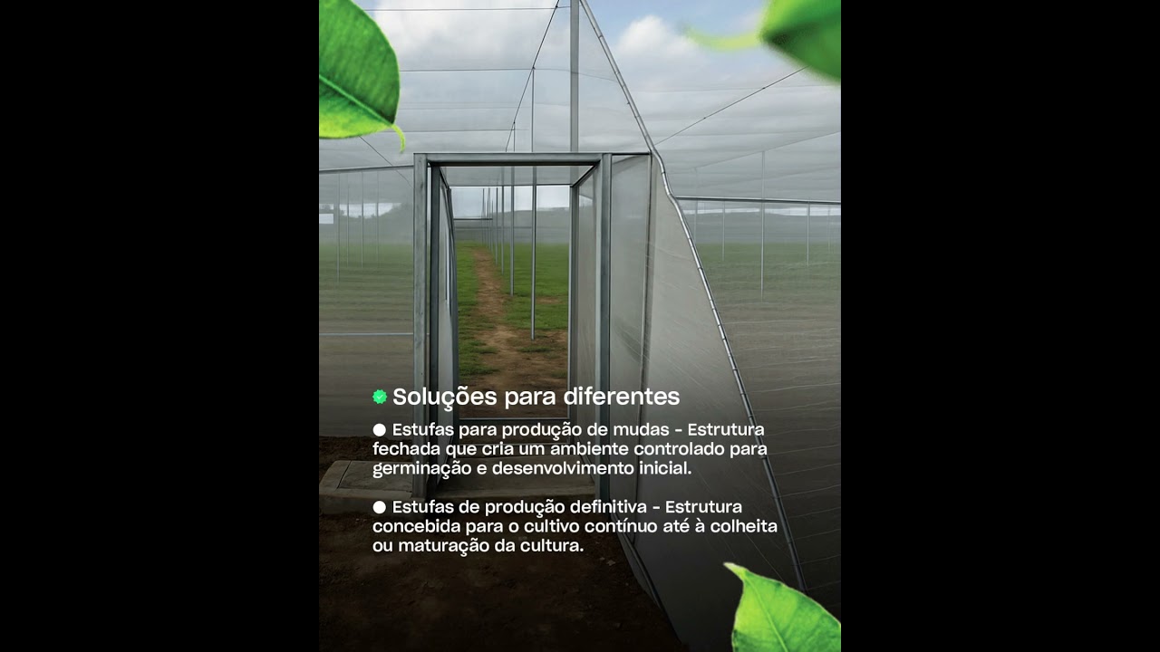 Bindzu apresenta soluções diferenciadas em estufas para produção intensiva e controlada