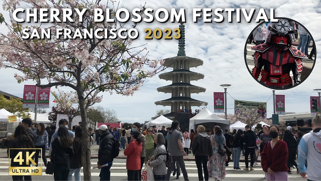 San Francisco Cherry Blossom Festival 2023 Japantown 4K YouTube