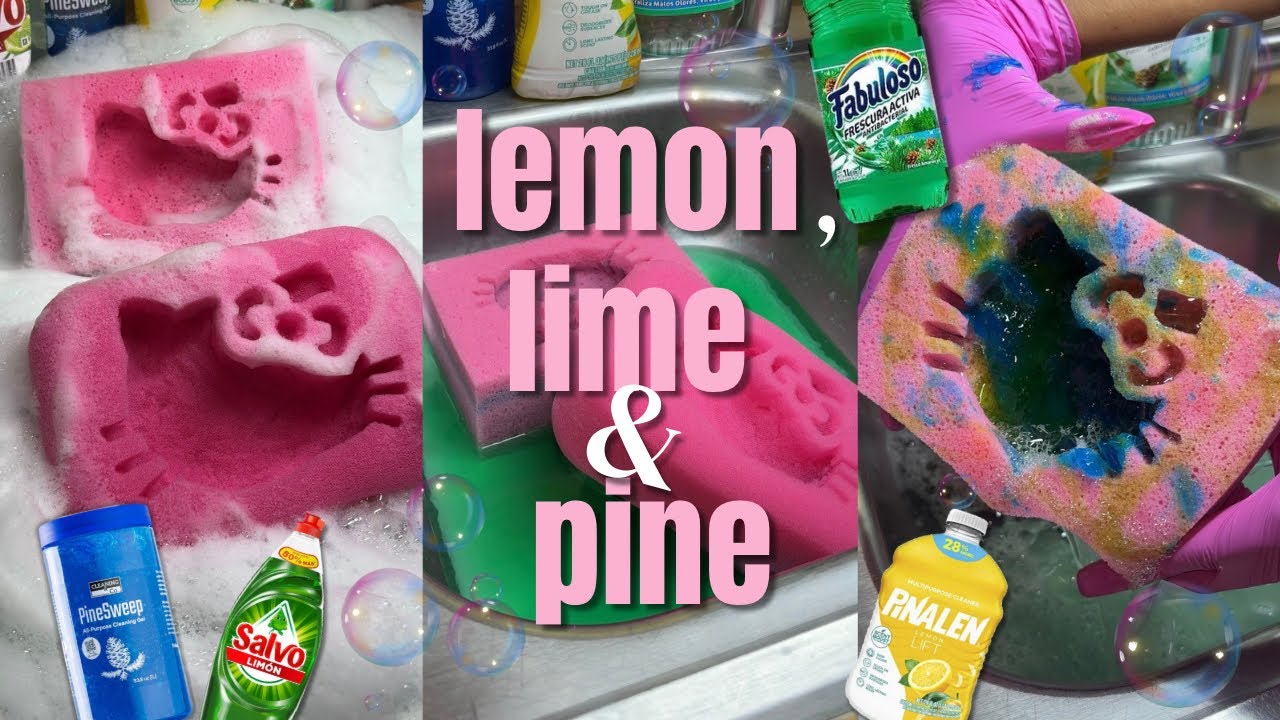 Lemon, Lime & Pine Suds Sponge ASMR 🍋💚🌲🫧