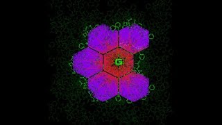 The Mr Bungees Chanel