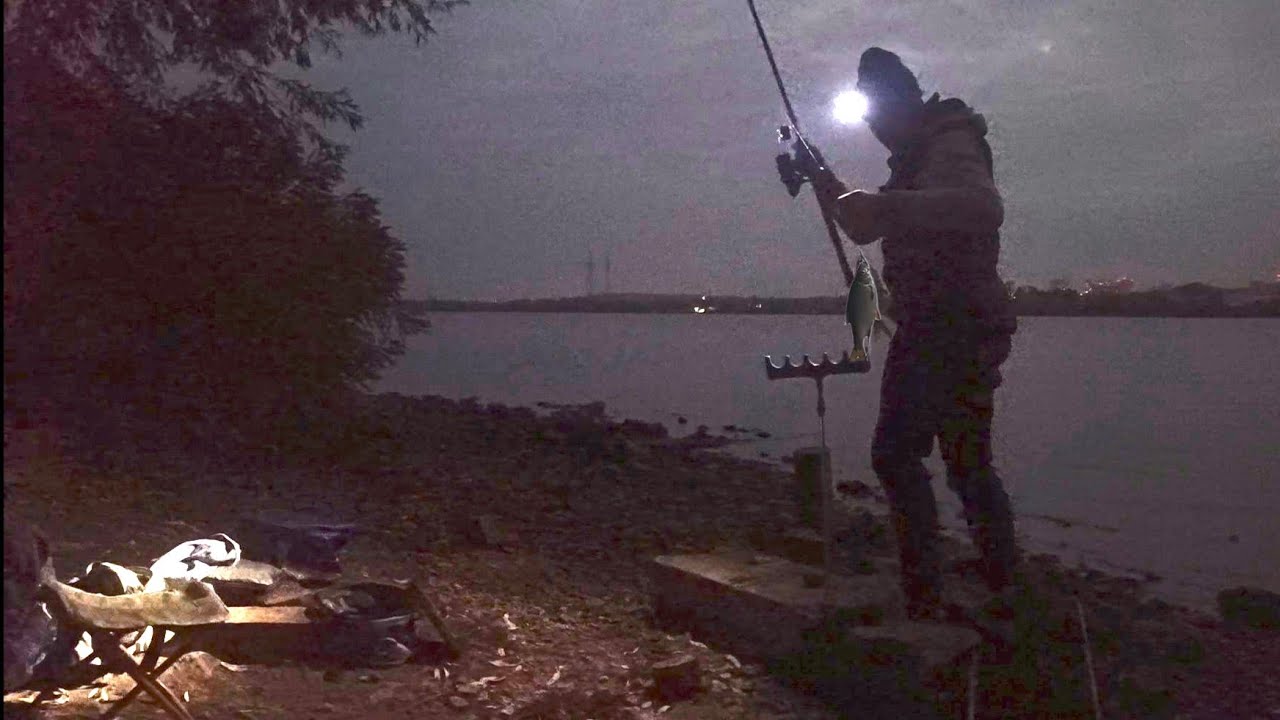 Динозаври клюють уночі 🦈 Браконьєрська Сітка❓Рибалка в Києві 🎣 
