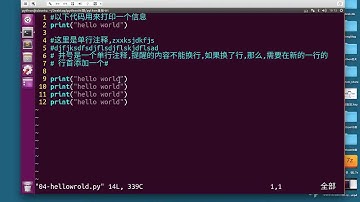 python中文教学 | python全栈开发教程 | 第一章 python基础 第二节 python语法基础 08 注释 （请订阅我们，陆续会上传更新课程）