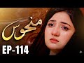 Manhoos – Episode 114 | Cursed Love Breaks Everything | Dark Truth &amp; Revenge Begins 🔥