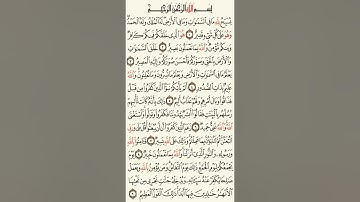 سوره التغابن - من الآية  (1) إلى ( 18)