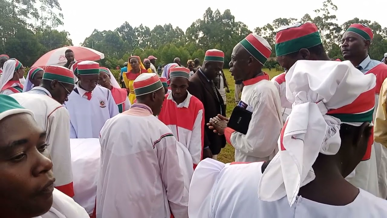 safari ya mwisho ya Milly