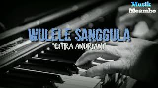 Lagu tolaki |Wulele sanggula _Citra andriani