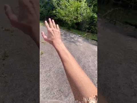 Reviving my channel day 3
