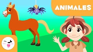 Los animales vertebrados e invertebrados para niños - Resumen - Mamíferos, artrópodos, gusanos y más