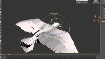 3DS MAX RIGGING SETTING REEL 2013