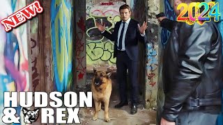 Hudson &amp; Rex 2024🌸🌸 Endless Summer ❎❎Canine Crime Solvers❎❎Full Episode Series 2024