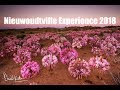 Landscape Photography - The Nieuwoudtville Experience, Quiver trees and March Flowers