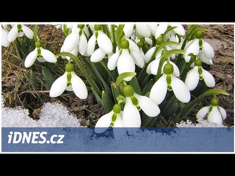 Video: Předpovídání Organizace Chromatinu Pomocí Histonových Značek