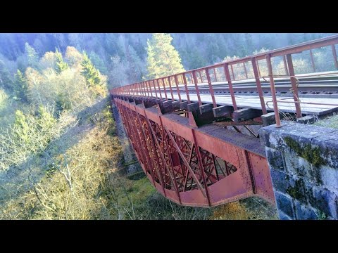 ეიფელის დაპროექტებული ხიდი წაღვერში