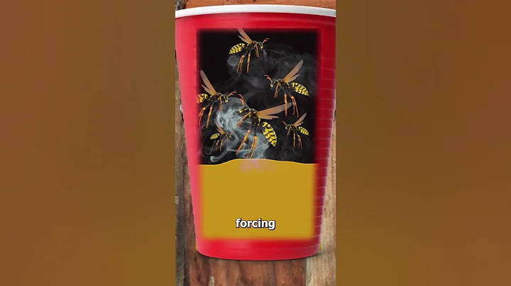 The Truth About The Wasp/Gas Trick 😨