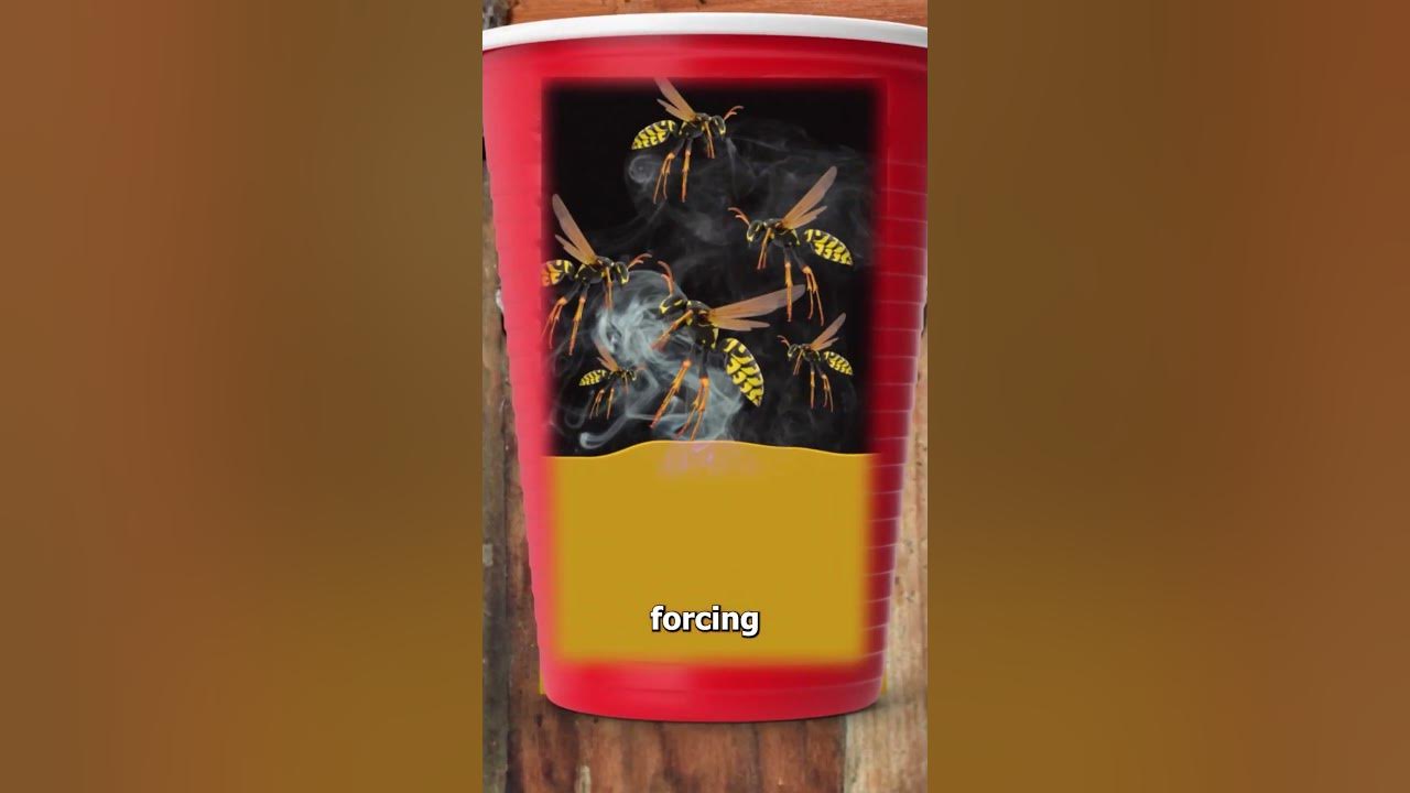 The Truth About The Wasp/Gas Trick 😨 - YouTube