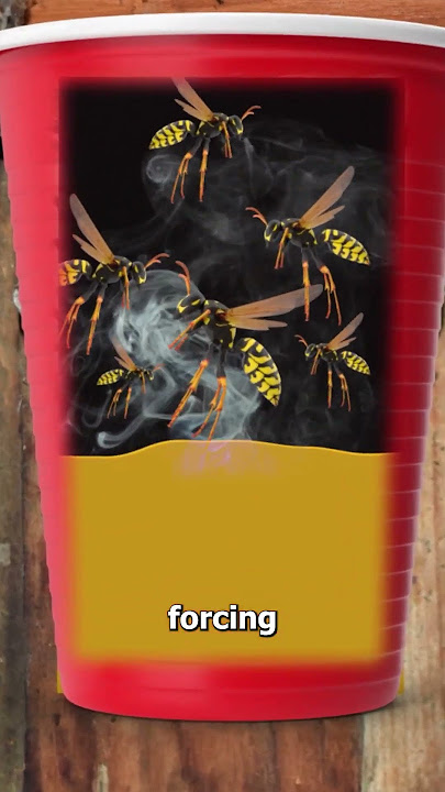 The Truth About The Wasp/Gas Trick 😨
