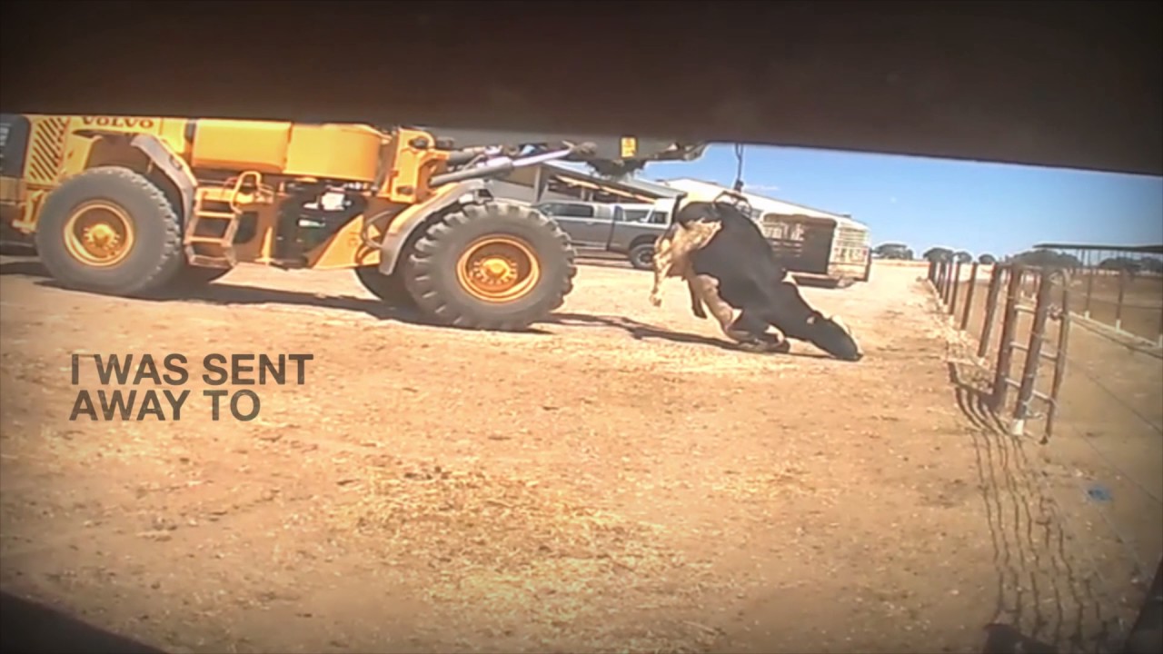 video phone beyonce mp3 Minutes Dairy